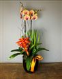 Warm Tropics - Large orchid planter